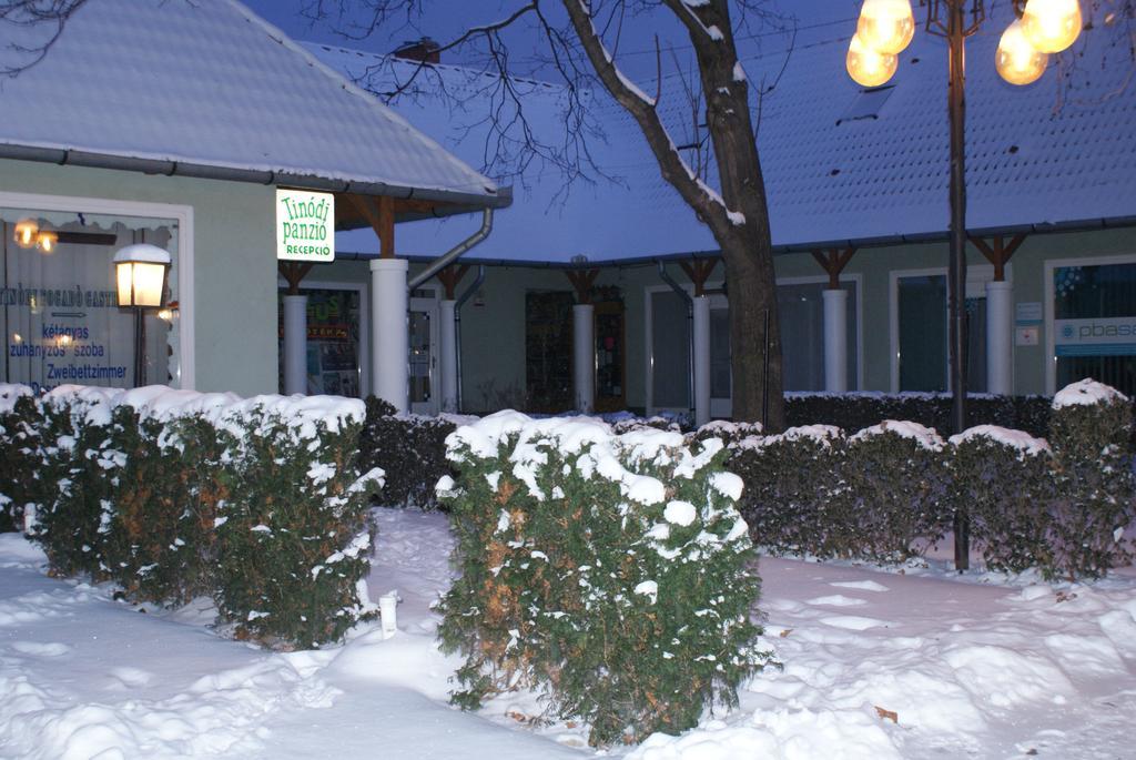 Tinodi Fogado Bed and Breakfast Sárvár Exteriör bild